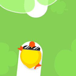 Animal Rush Banner