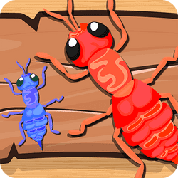 Ants Banner