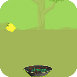 Apples Banner