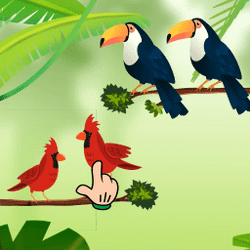 Bird Sort Banner