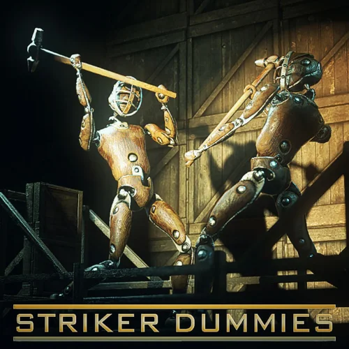Striker Dummies Banner