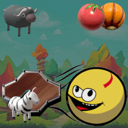 Swift Ball Banner
